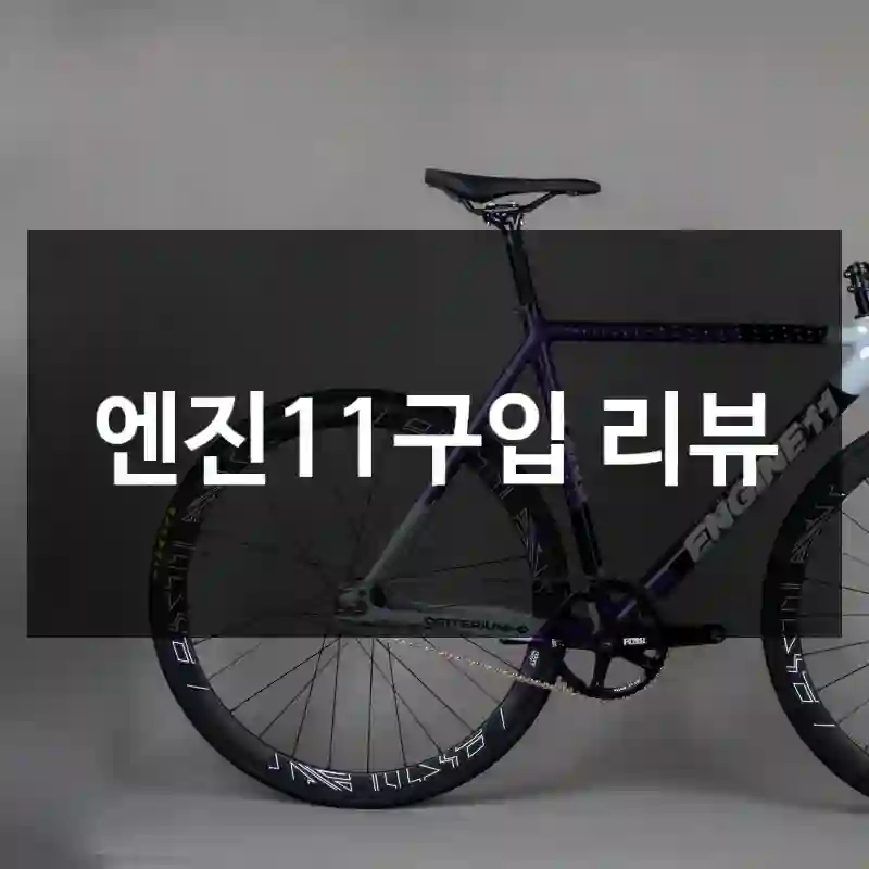 엔진11구입 리뷰