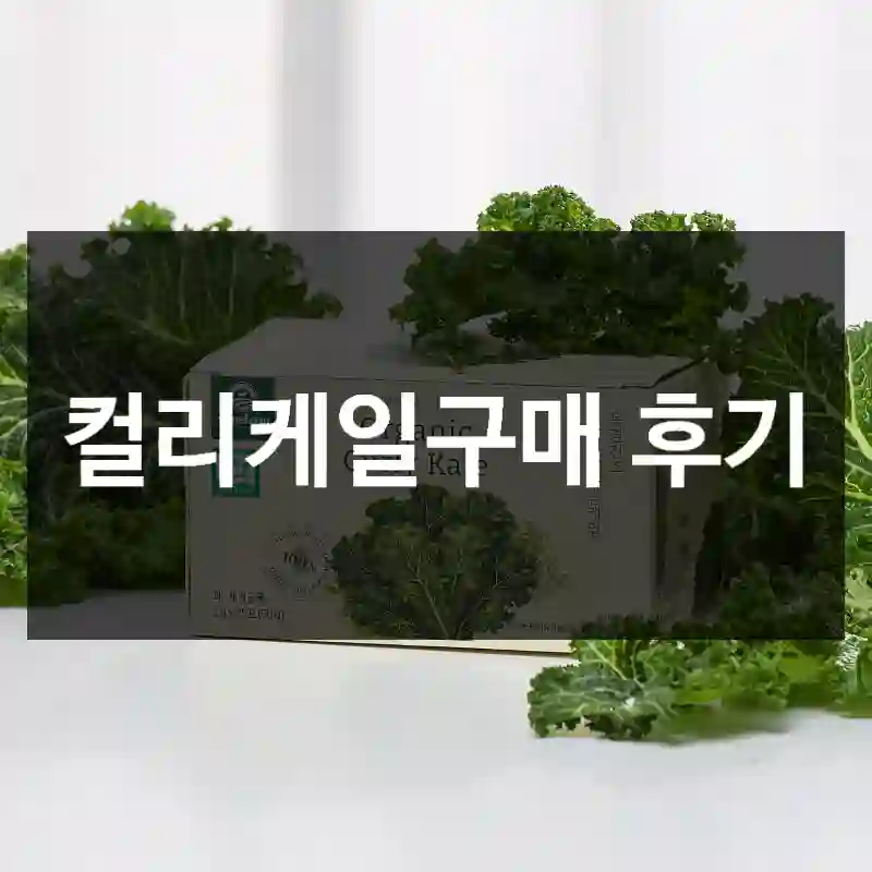 컬리케일구매 후기