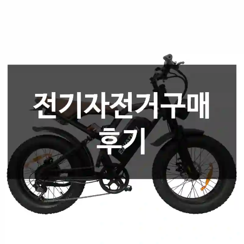 전기자전거구매 후기