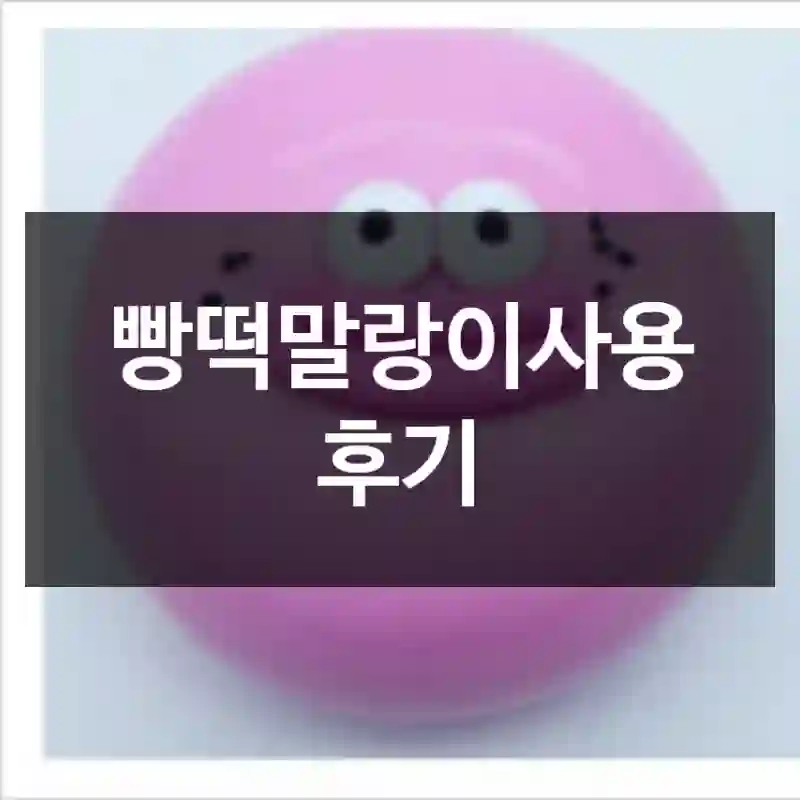 빵떡말랑이사용 후기