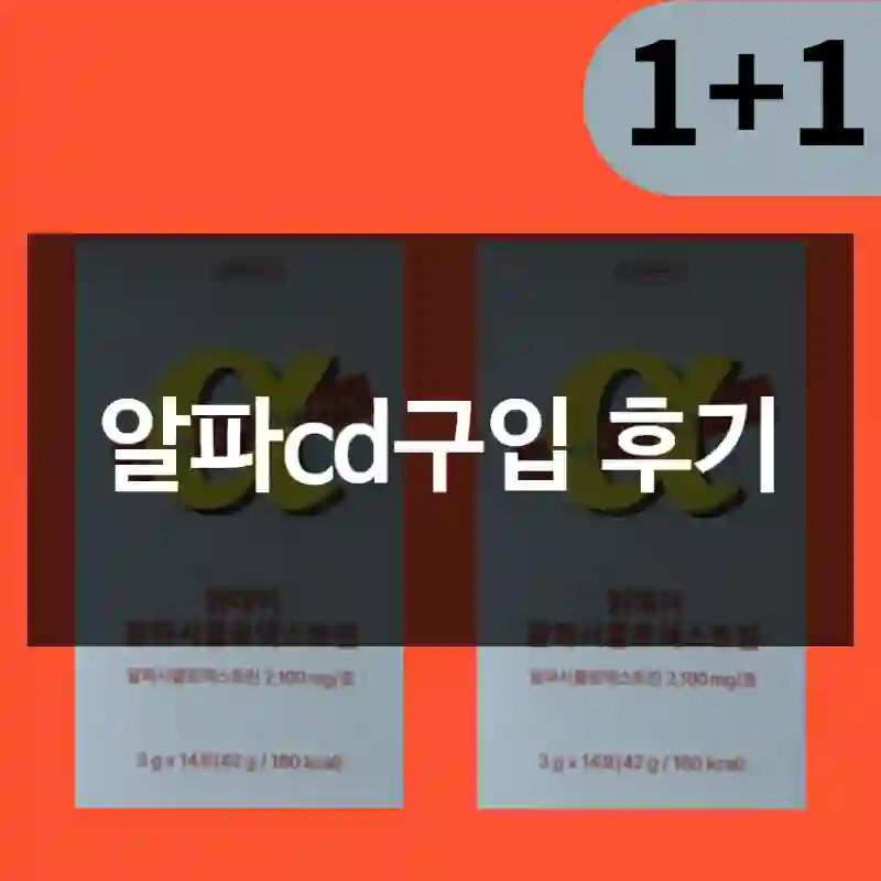 알파cd구입 후기