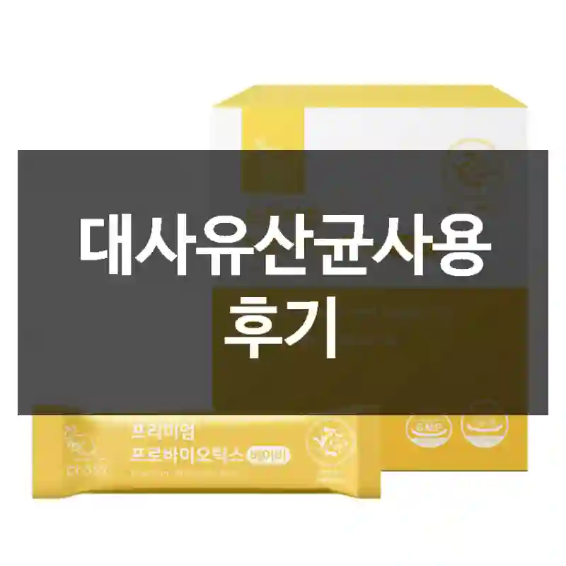대사유산균사용 후기