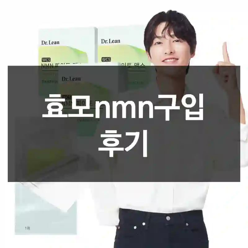효모nmn구입 후기
