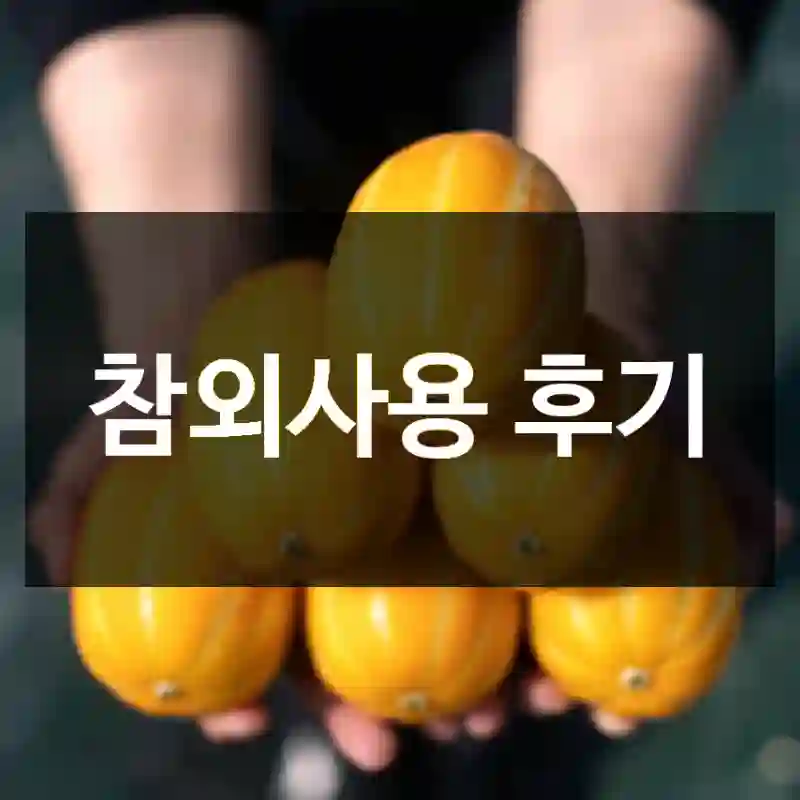 참외사용 후기
