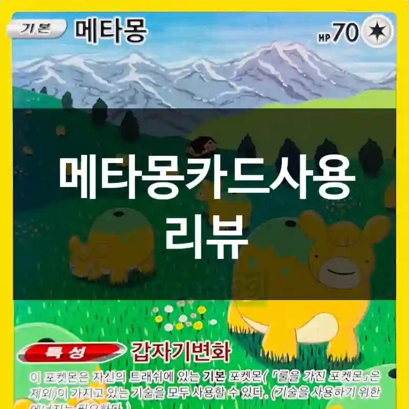 메타몽카드사용 리뷰