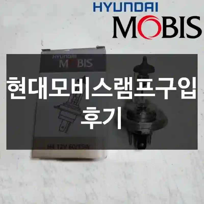 현대모비스램프구입 후기