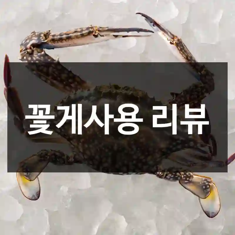 꽃게사용 리뷰