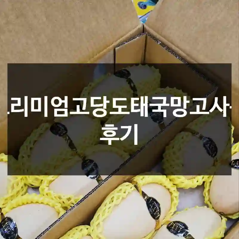 프리미엄고당도태국망고사용 후기