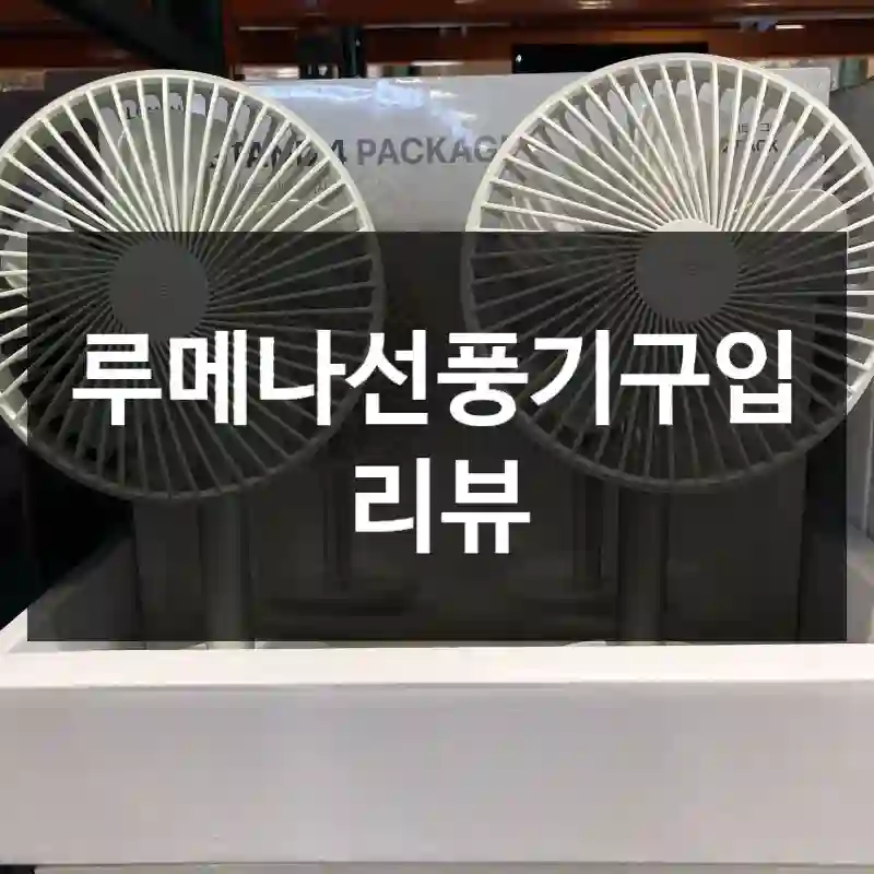루메나선풍기구입 리뷰