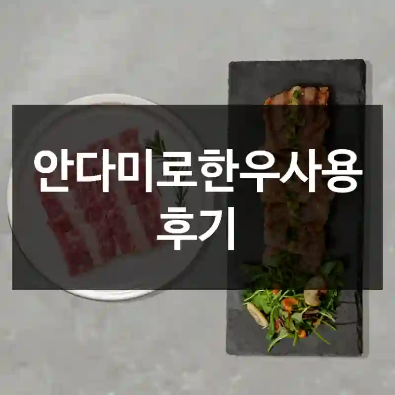 안다미로한우사용 후기