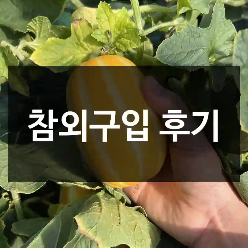 참외구입 후기