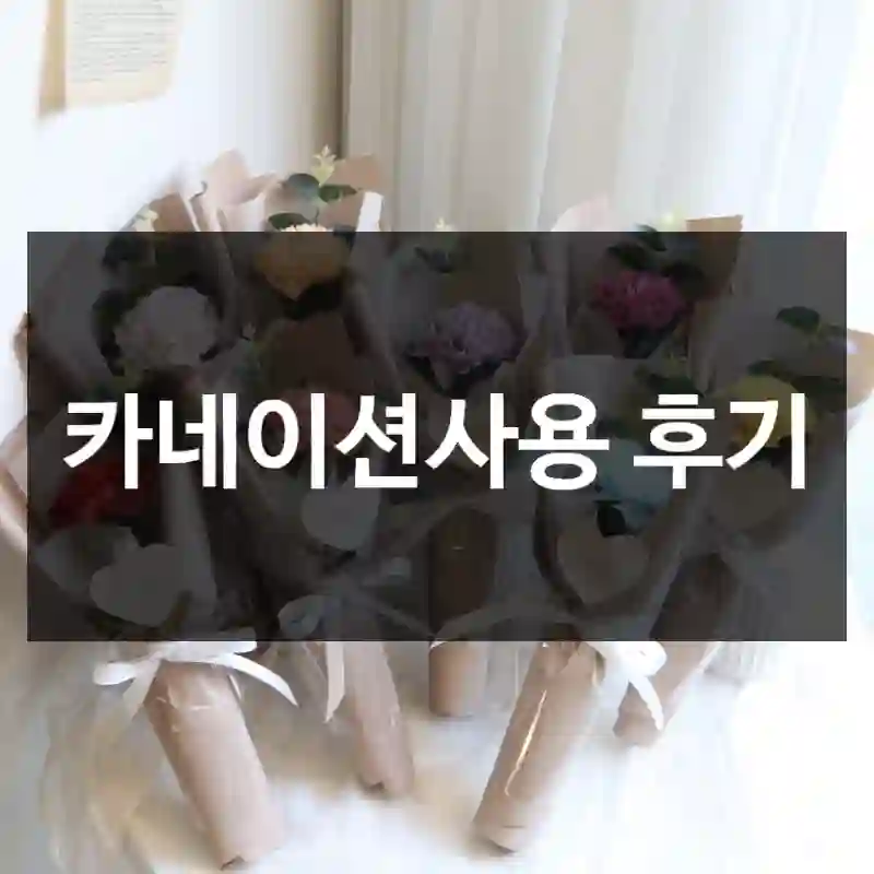 카네이션사용 후기