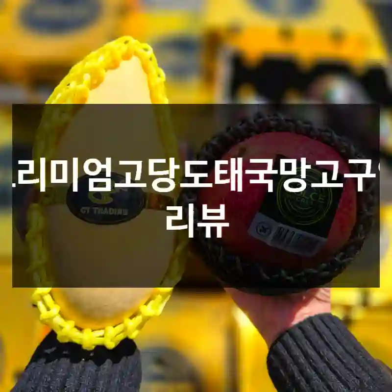 프리미엄고당도태국망고구입 리뷰