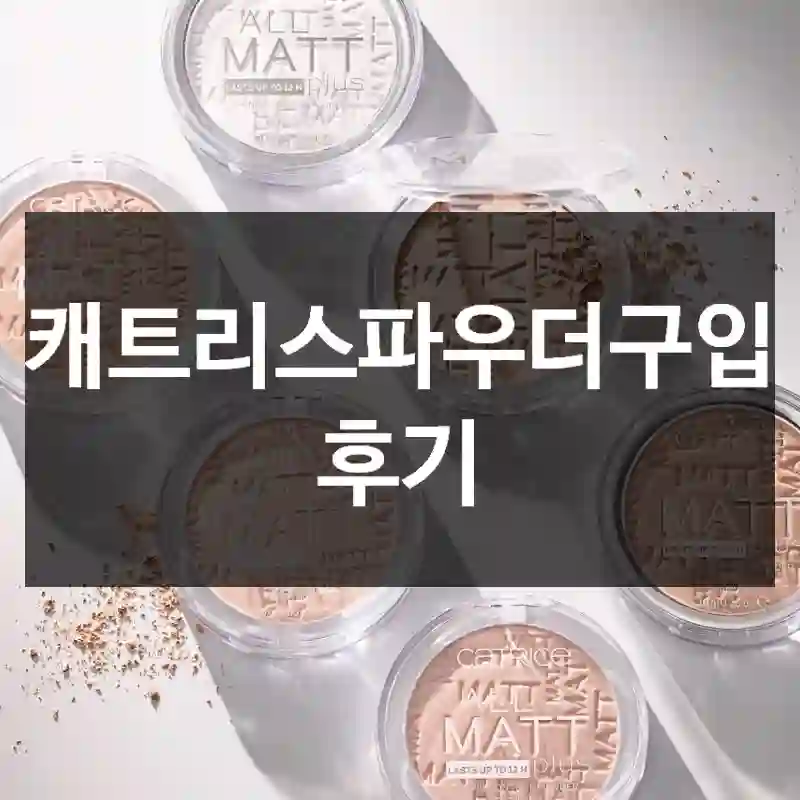 캐트리스파우더구입 후기