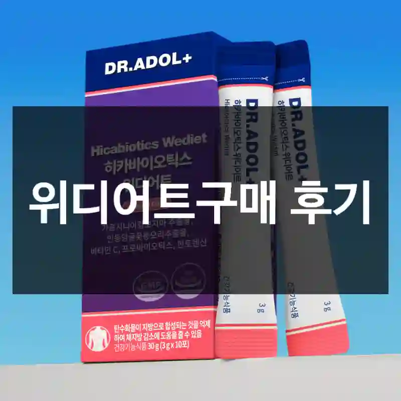 위디어트구매 후기