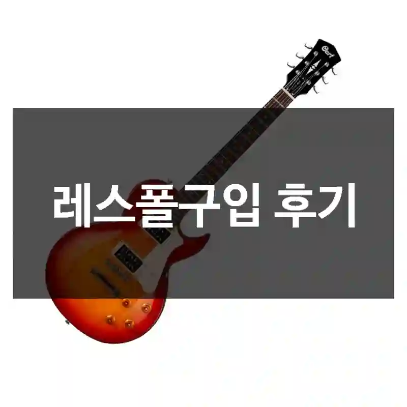 레스폴구입 후기