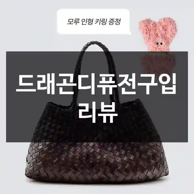 드래곤디퓨전구입 리뷰