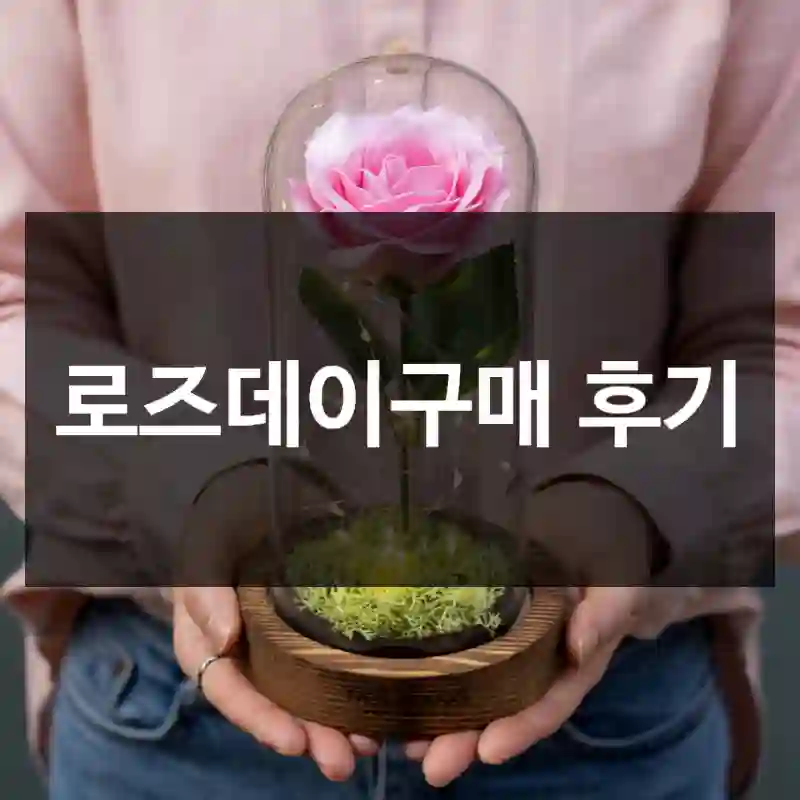 로즈데이구매 후기