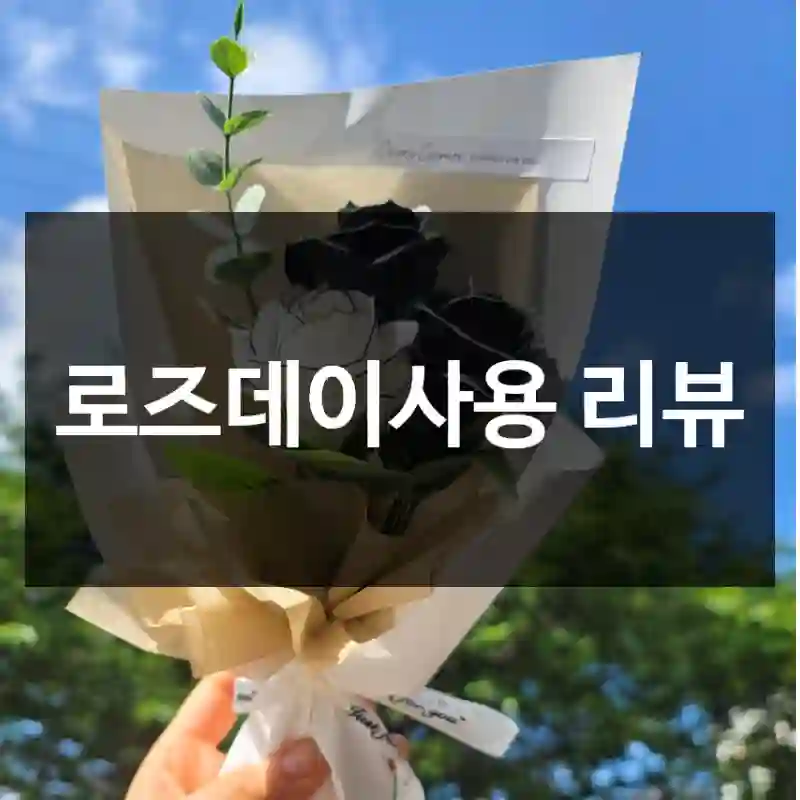 로즈데이사용 리뷰