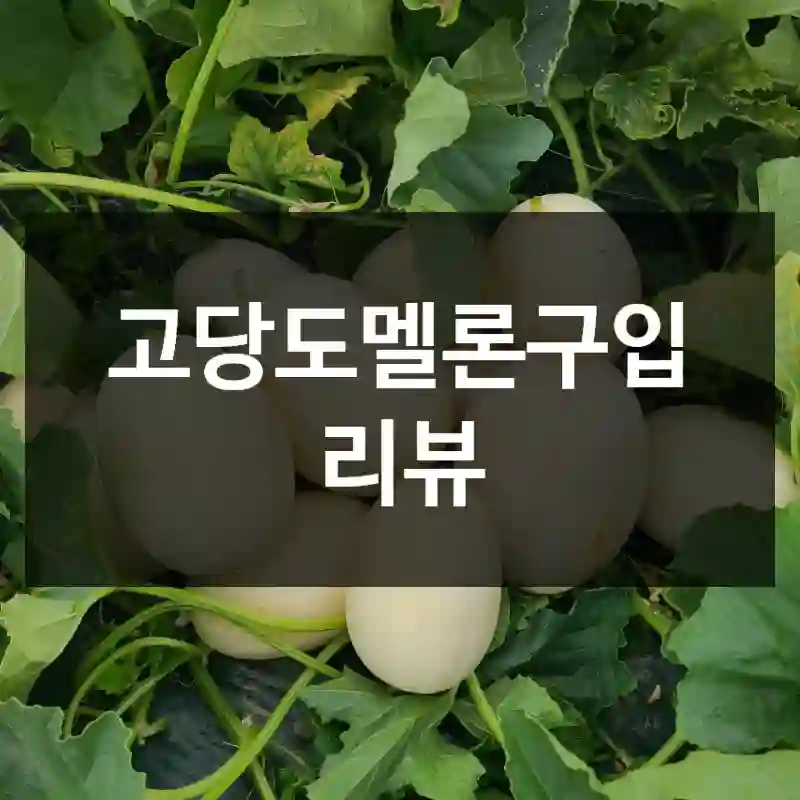 고당도멜론구입 리뷰