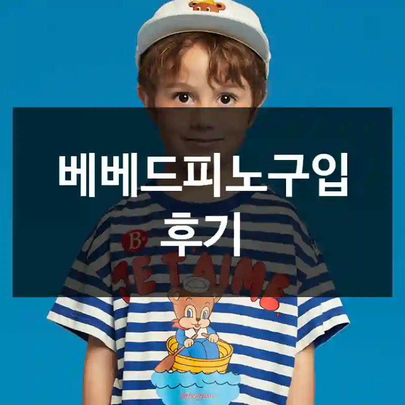 베베드피노구입 후기