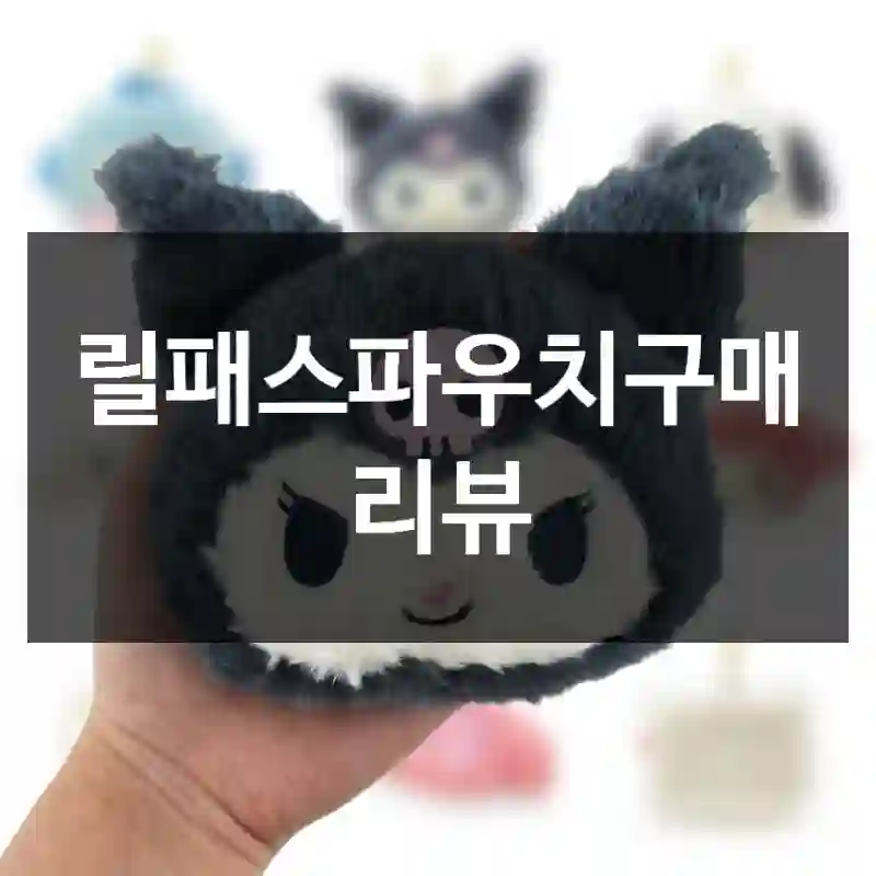 릴패스파우치구매 리뷰