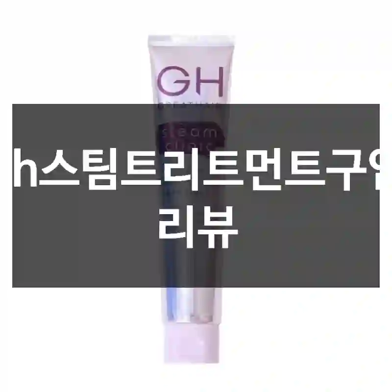 gh스팀트리트먼트구입 리뷰