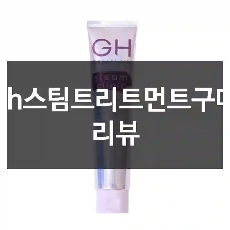 gh스팀트리트먼트구매 리뷰