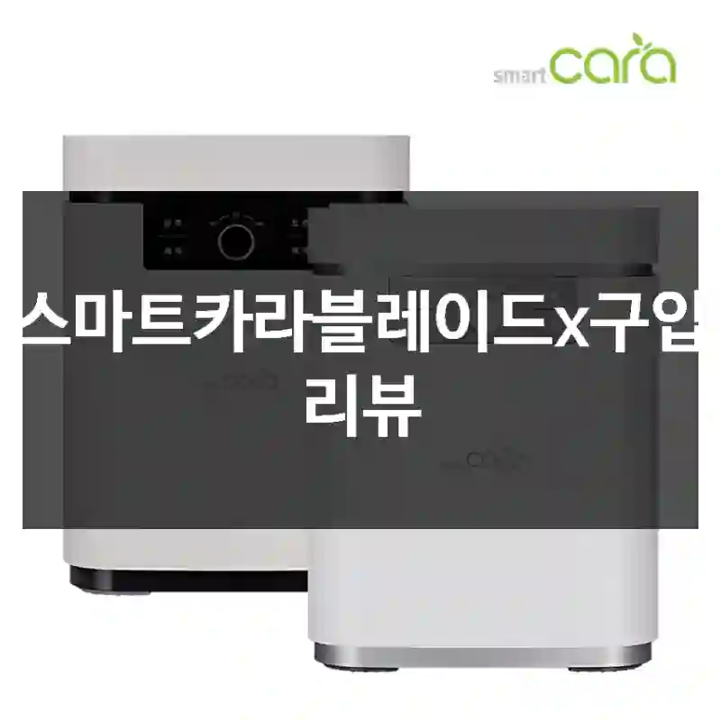 스마트카라블레이드x구입 리뷰