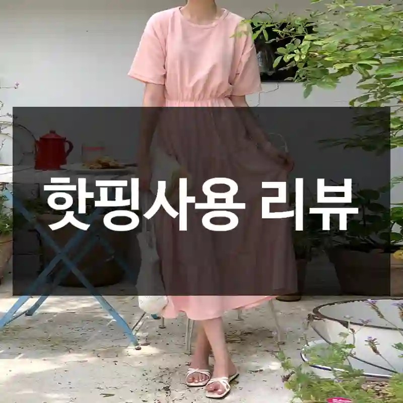 핫핑사용 리뷰