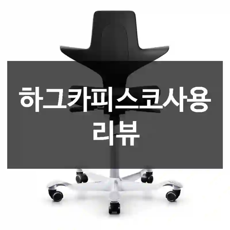 하그카피스코사용 리뷰