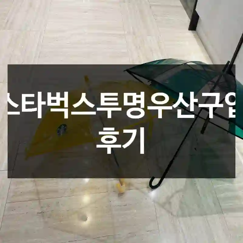 스타벅스투명우산구입 후기