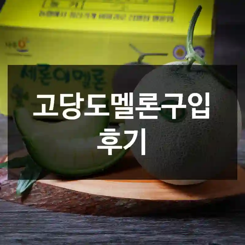 고당도멜론구입 후기