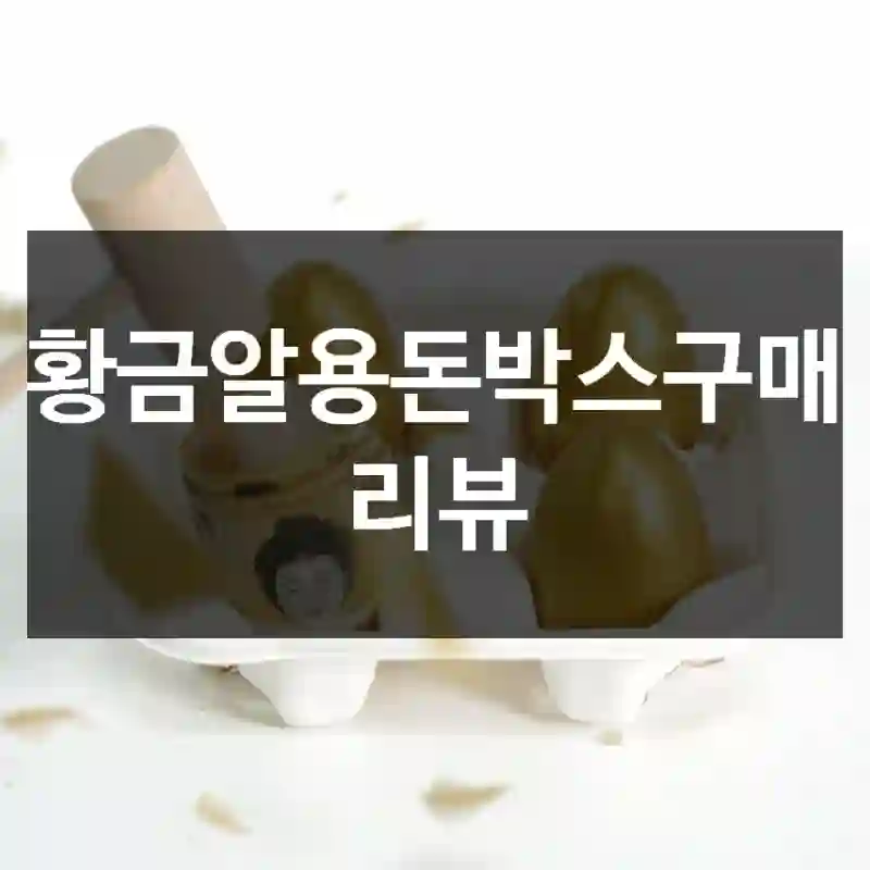 황금알용돈박스구매 리뷰