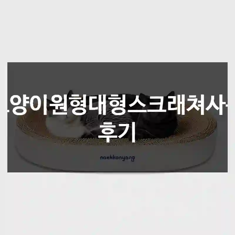 고양이원형대형스크래쳐사용 후기