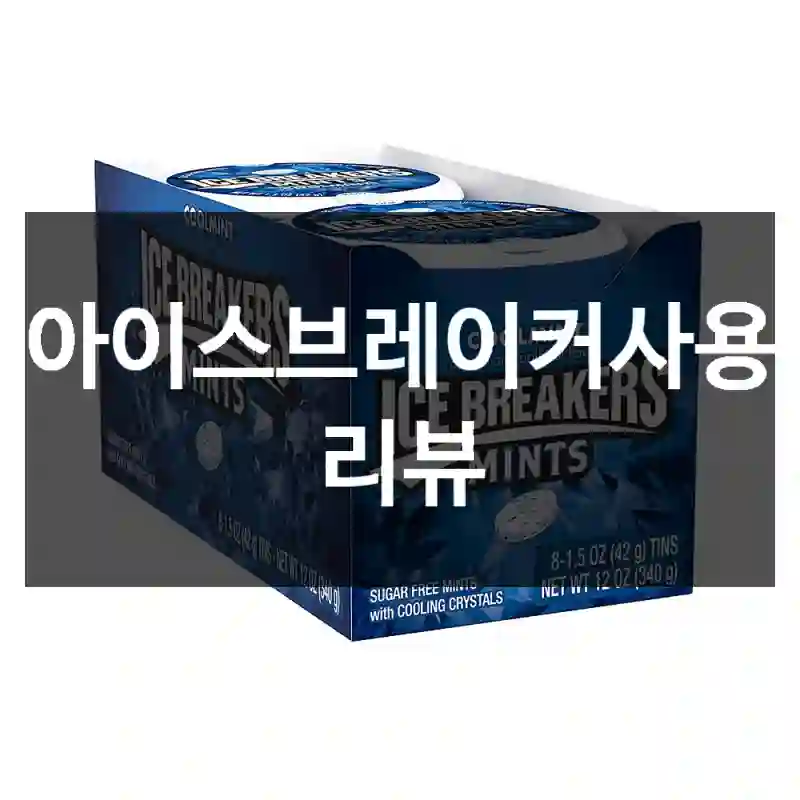 아이스브레이커사용 리뷰
