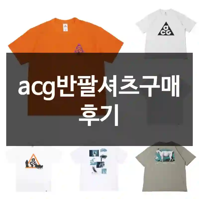acg반팔셔츠구매 후기