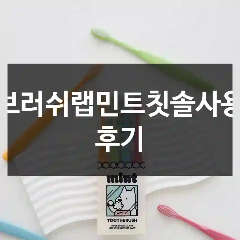 브러쉬랩민트칫솔사용 후기