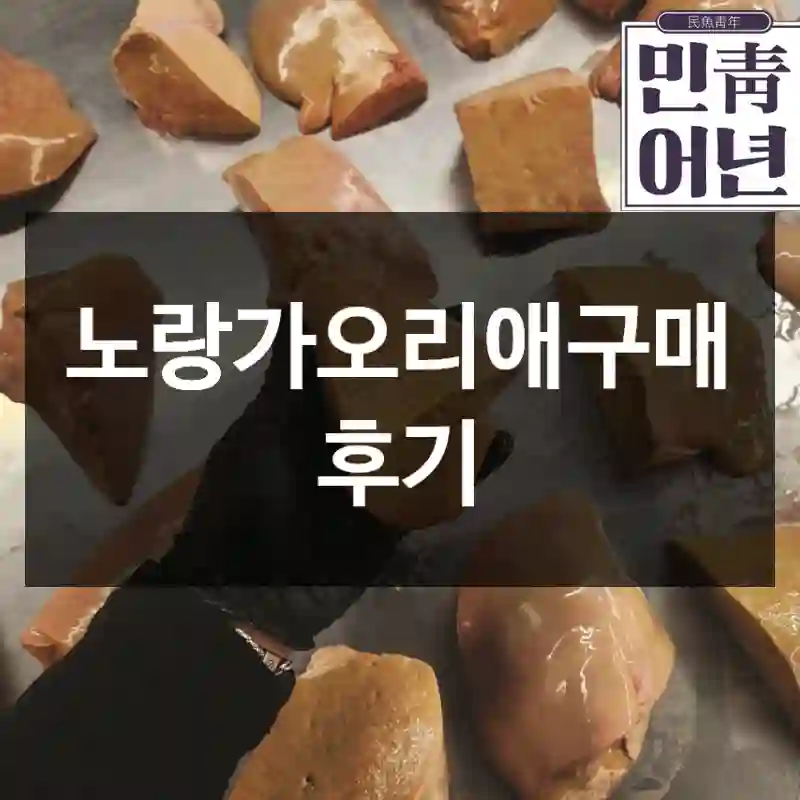 노랑가오리애구매 후기
