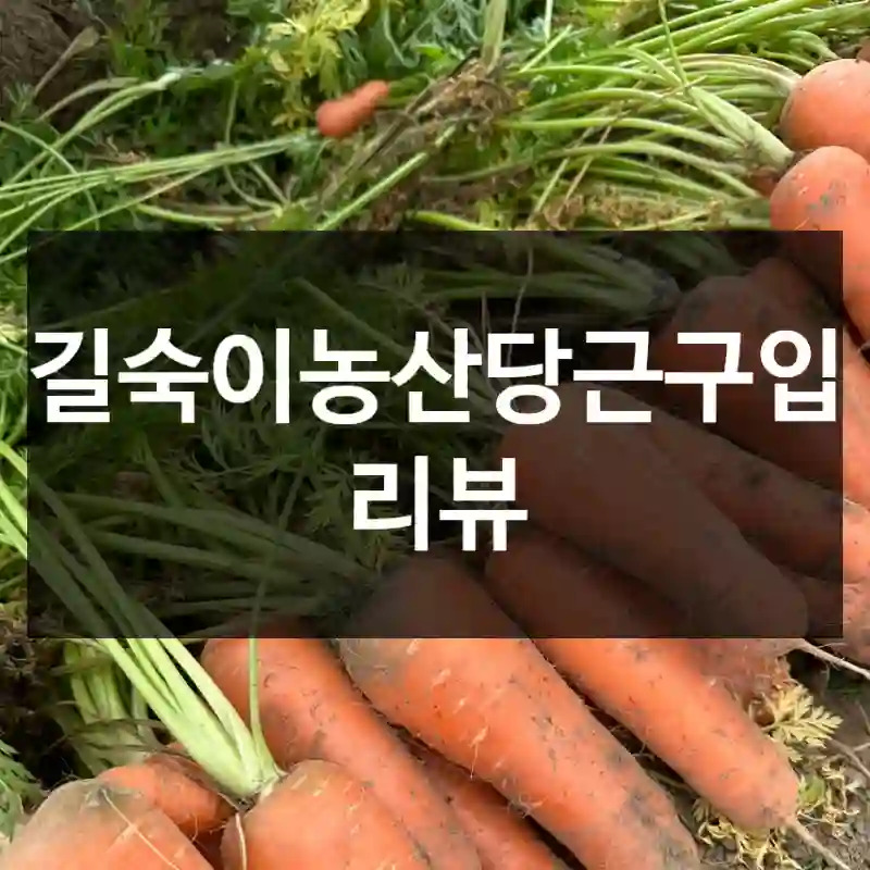 길숙이농산당근구입 리뷰