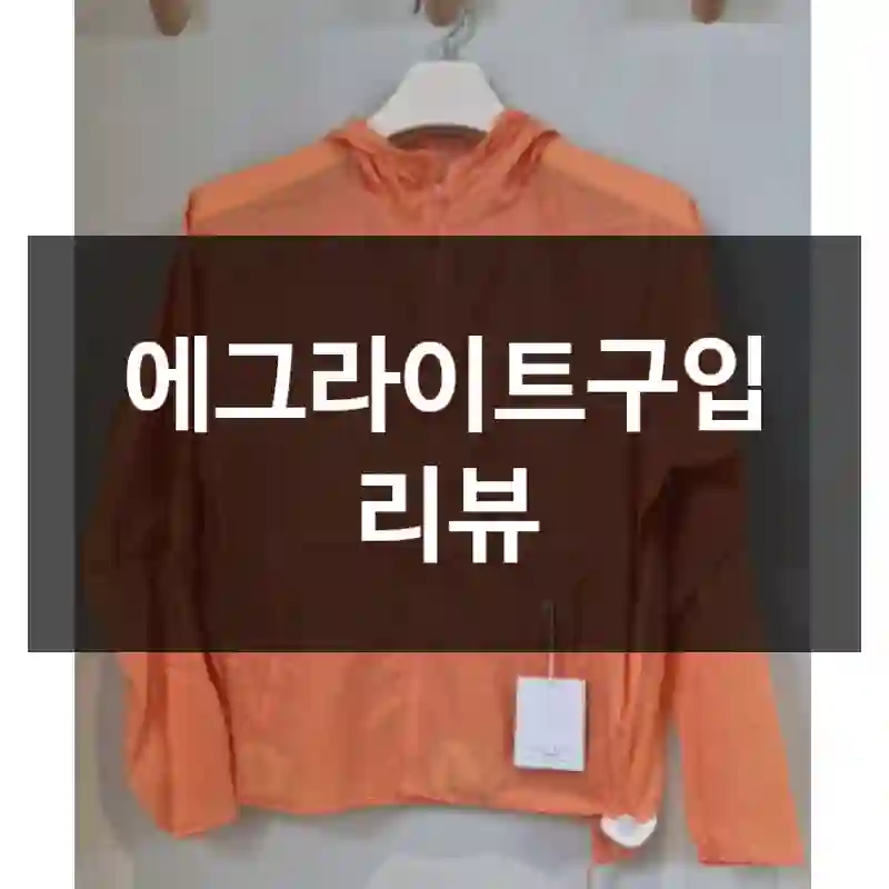 에그라이트구입 리뷰