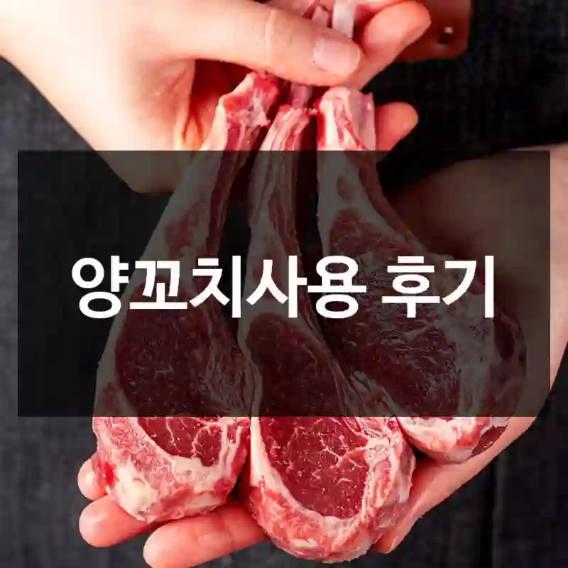 양꼬치사용 후기