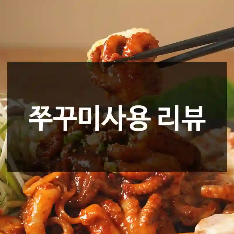 쭈꾸미사용 리뷰