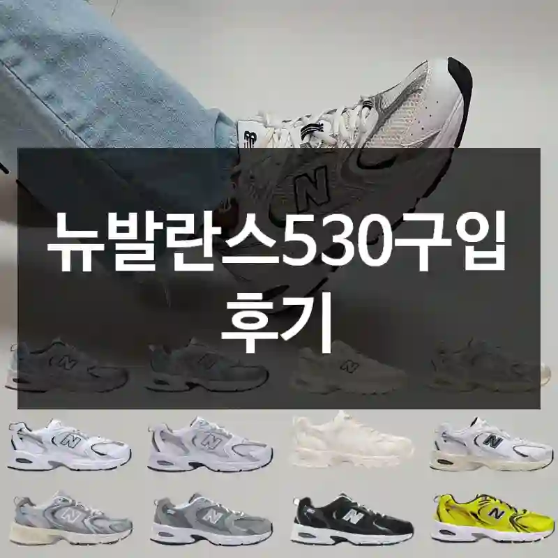 뉴발란스530구입 후기