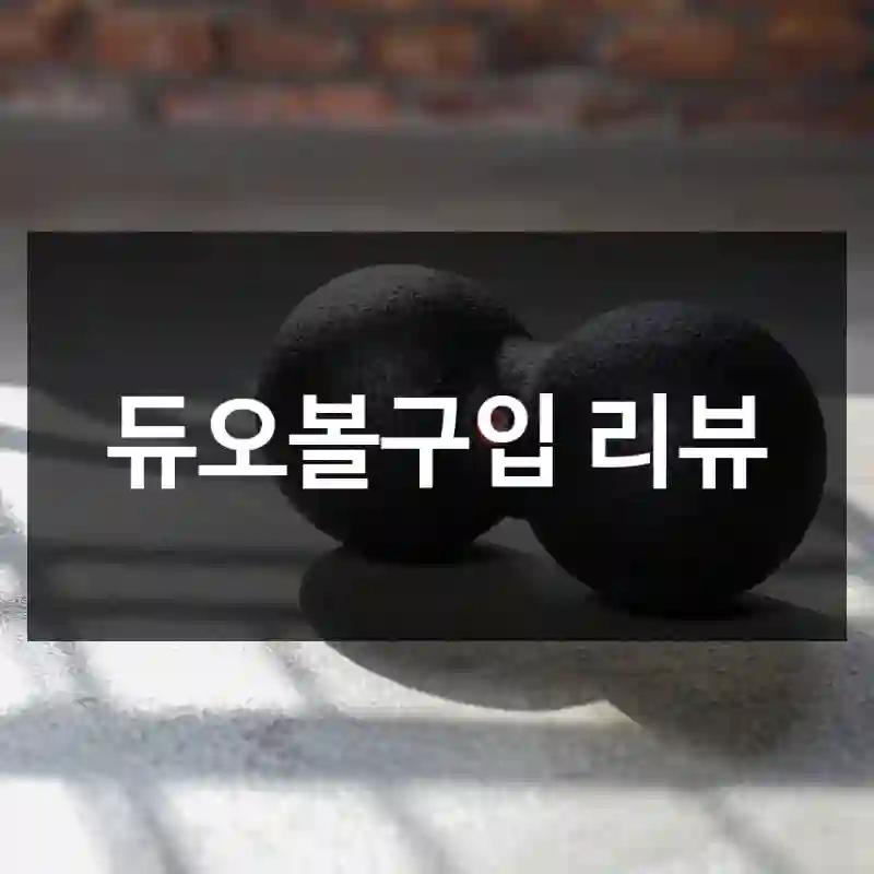 듀오볼구입 리뷰
