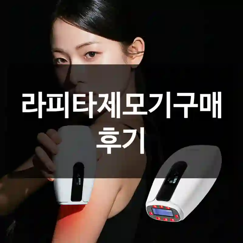 라피타제모기구매 후기