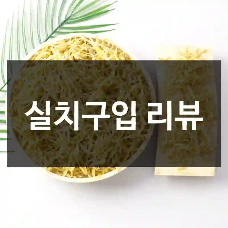 실치구입 리뷰