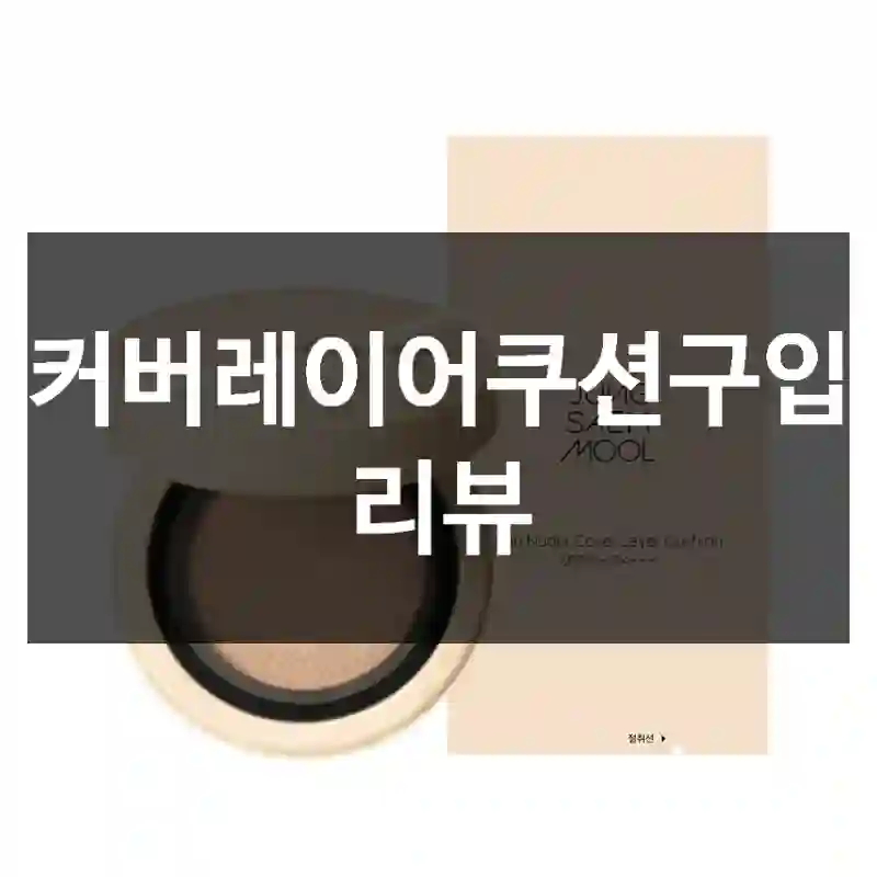 커버레이어쿠션구입 리뷰
