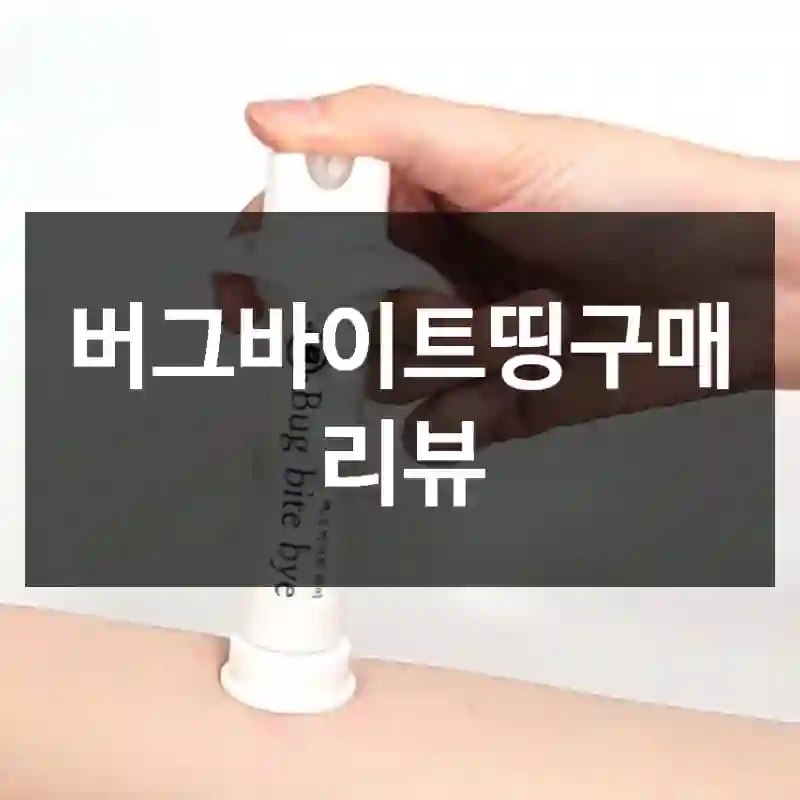 버그바이트띵구매 리뷰
