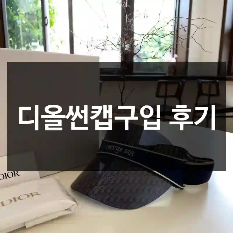 디올썬캡구입 후기